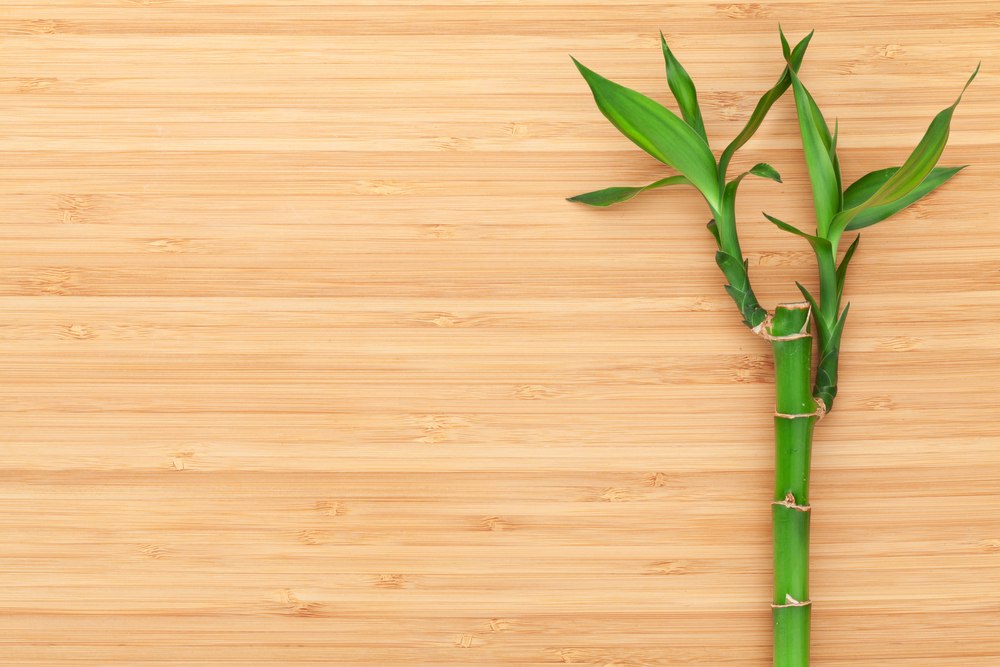 Bambus parket – od travke do vašeg poda